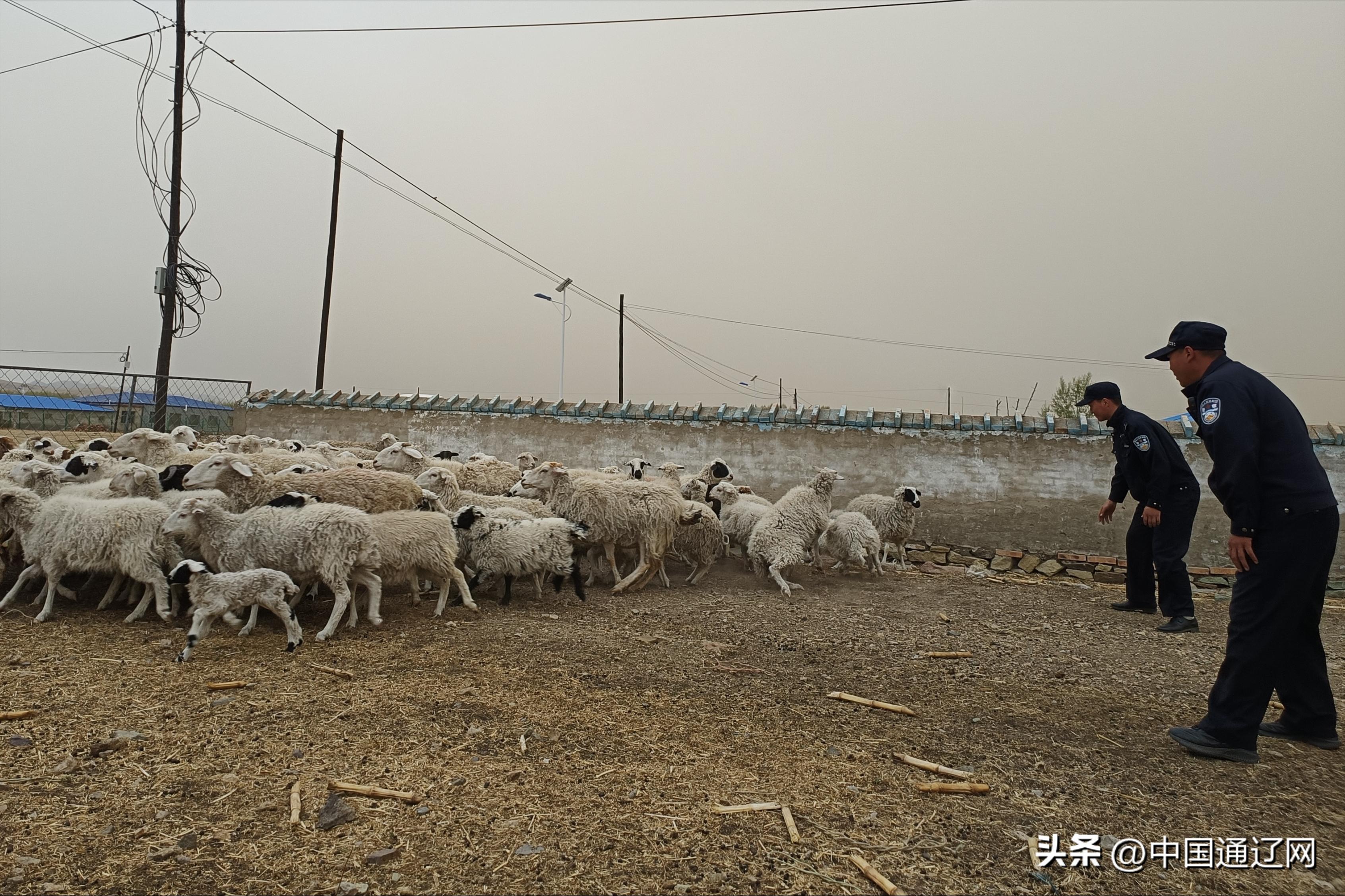 阿日昆都冷镇新项目启动，边疆繁荣重塑引擎