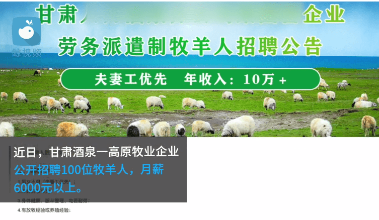 宿羊山镇最新招聘信息详解及解读