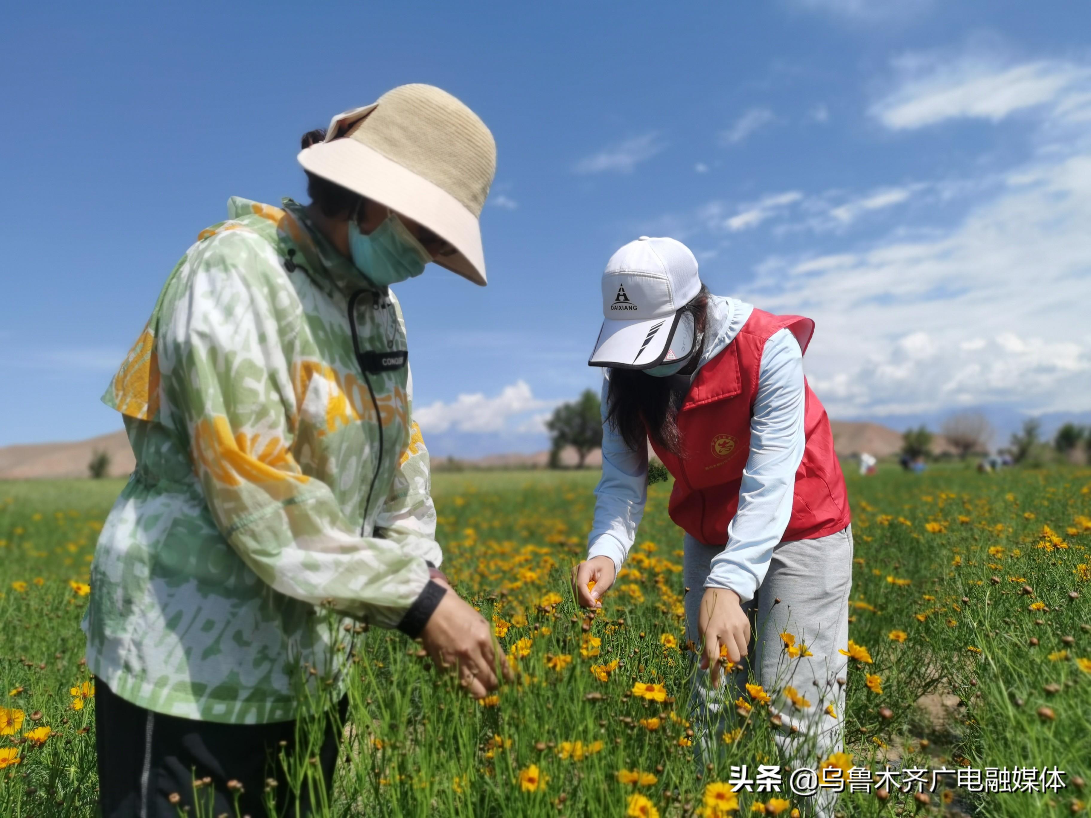 达坂城区特殊教育事业单位发展规划展望