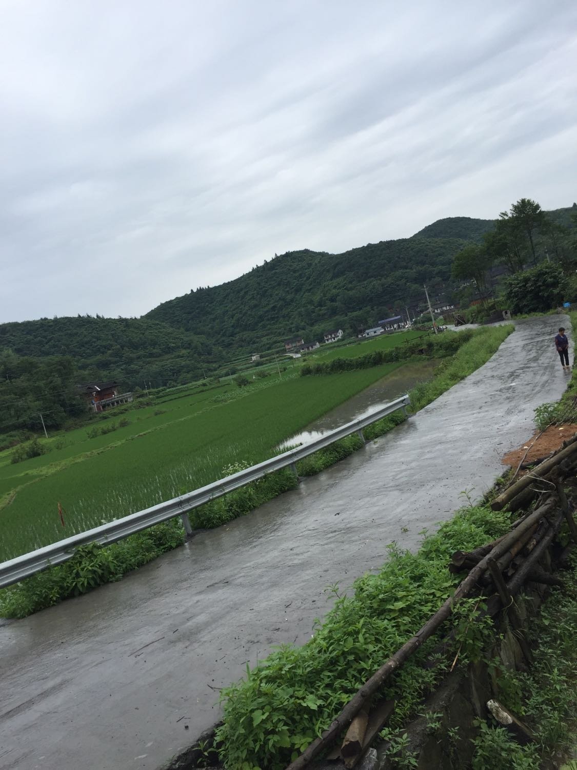 忠玉村天气预报更新通知