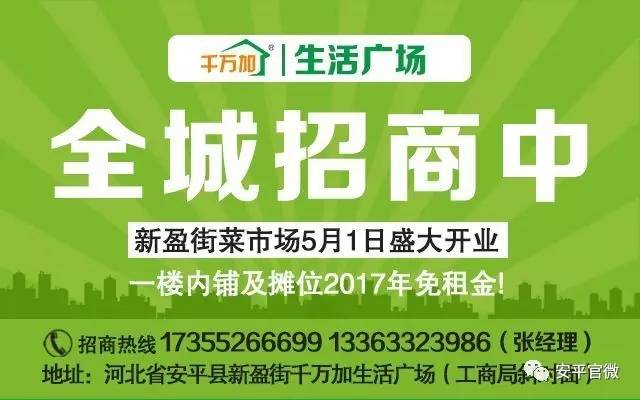 金山屯区人力资源和社会保障局招聘最新信息概览